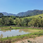 Pesqueiro e Restaurante Recanto de Áreas em São Bento do Sapucaí na Serra da Mantiqueira - Galeria